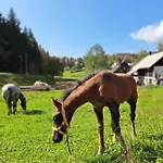 شقة Tourist Farm Pr' Maretc بوهينيسكا بيستريكا