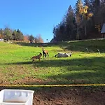 Tourist Farm Pr' Maretč Lejlighed