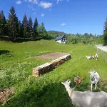 Tourist Farm Pr' Maretč Lejlighed Bohinjska Bistrica