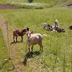 Lejlighed Tourist Farm Pr' Maretč