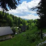 Tourist Farm Pr' Maretc بوهينيسكا بيستريكا