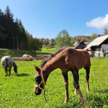 Apartma Tourist Farm Pr' Maretc Bohinjska Bistrica