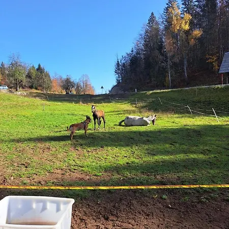 Tourist Farm Pr' Maretc Apartma