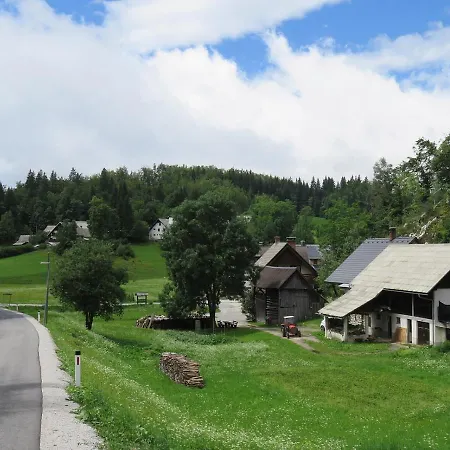 Apartma Tourist Farm Pr' Maretc *