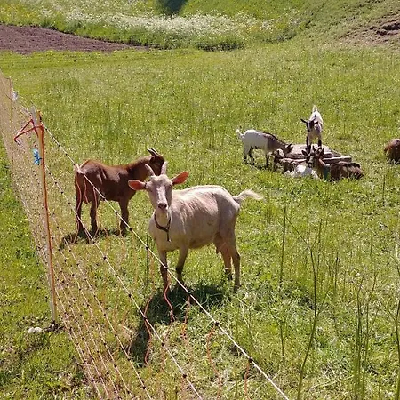 Apartma Tourist Farm Pr' Maretc