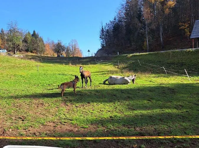 Tourist Farm Pr' Maretc 아파트
