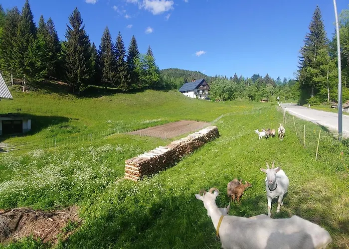 Tourist Farm Pr' Maretc Appartement Bohinjska Bistrica