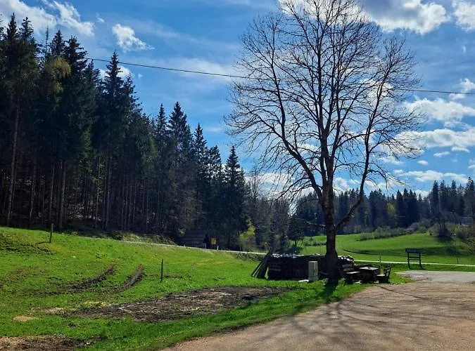 Tourist Farm Pr' Maretc Διαμέρισμα *