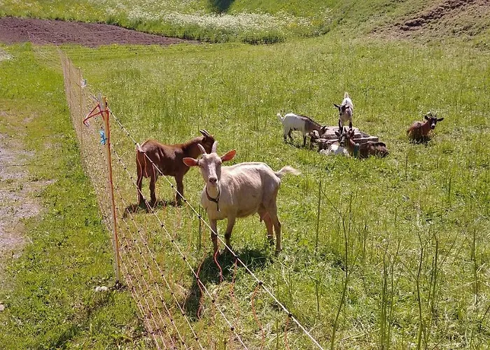 Διαμέρισμα Tourist Farm Pr' Maretc